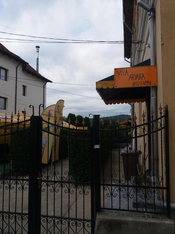 Curtea de Argeş Casa Ariana酒店 外观 照片